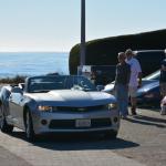 Cambria_0454 (November 01, 2013)